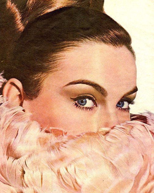 Jean Shrimpton in feathers 1965