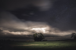 freddie-photography:  Made of Dreams, Oxfordshire UK  By Freddie Ardley PhotographyWebsite | Facebook | Instagram | Twitter 