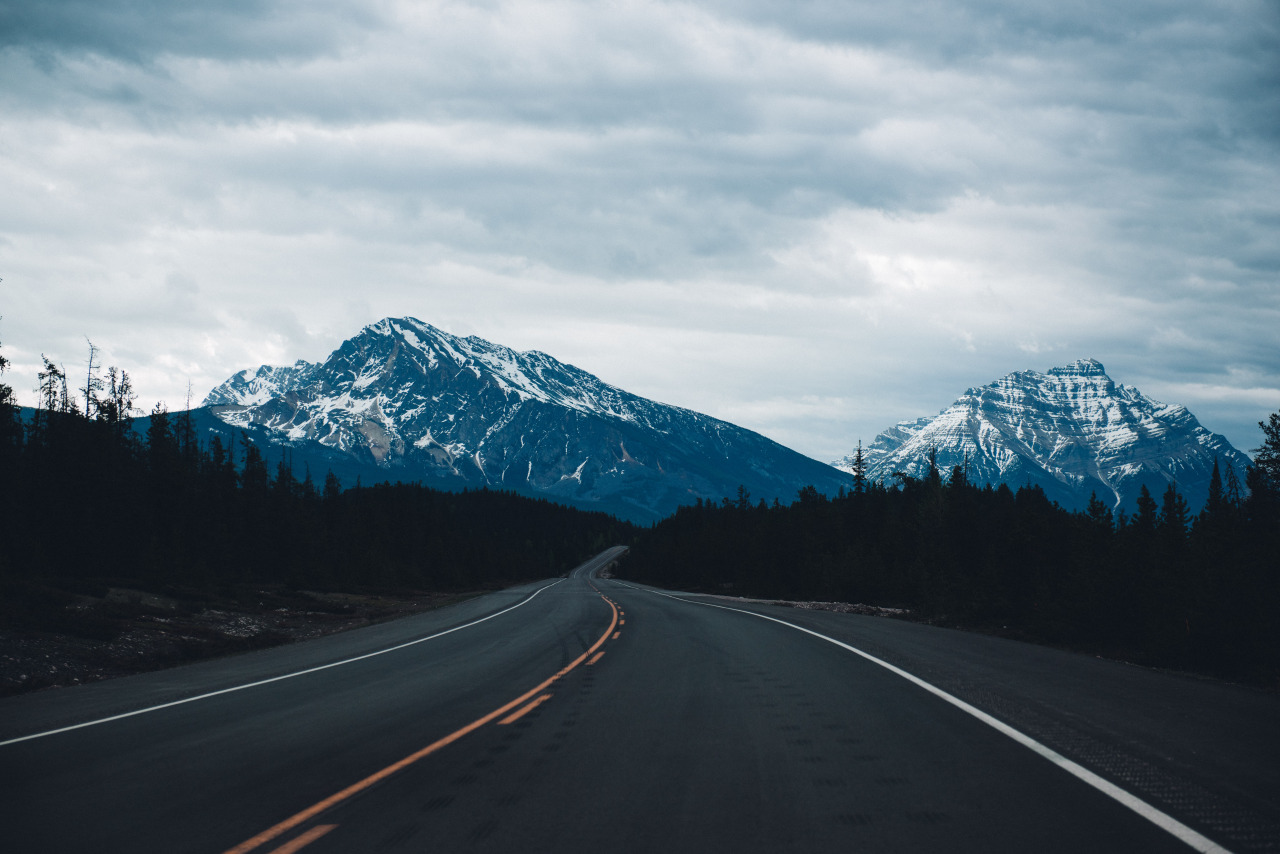 teapalm:  (Tasha Marie) | Icefields Parkwaywebsite | instagram 