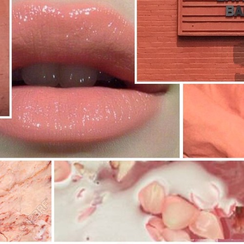 C O R A L | • • • • • #Lips # FlowerBath #Coral #Website #ReLaunch #ReBrand