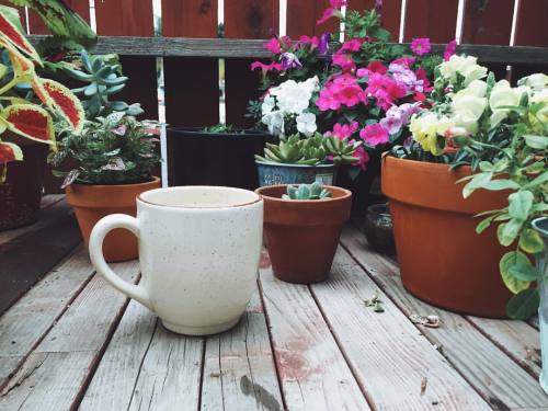 This is my favourite coffee cup: $3 at goodwill. It&rsquo;s handmade, HUGE &amp; has this woodsy for