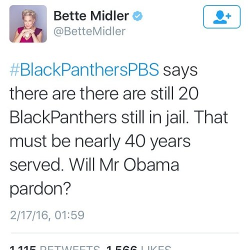 Sex salimadofo:  Even Bette Midler is calling pictures