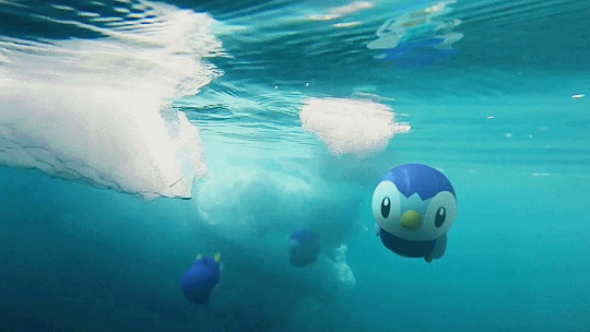 bewear: Sinnoh Starters!