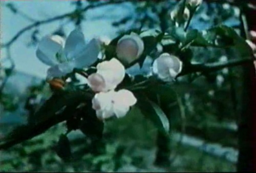 Diaries Notes And Sketches {Jonas Mekas, 1969}