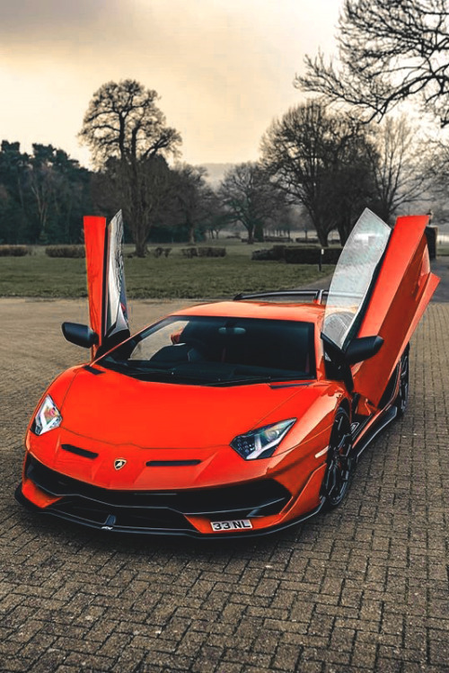 luxware:  Lamborghini Aventador SVJ