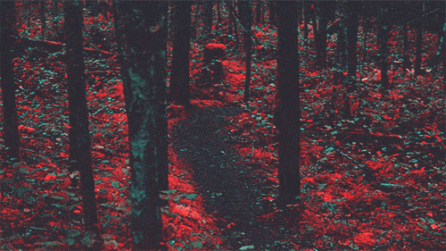 deeplovephotography:1 | 2 | 3 instagram | flickr | facebook
