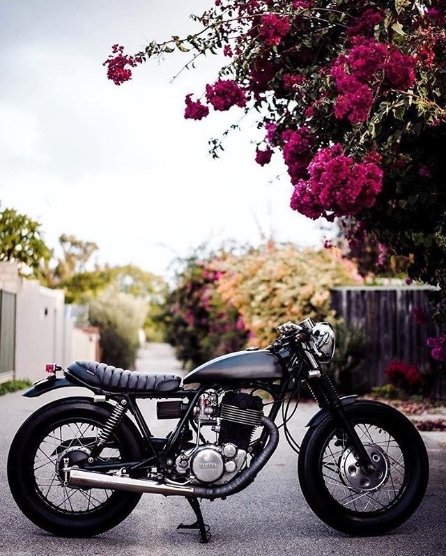caferacerpasion:  Reblog by caferacerpasion.com