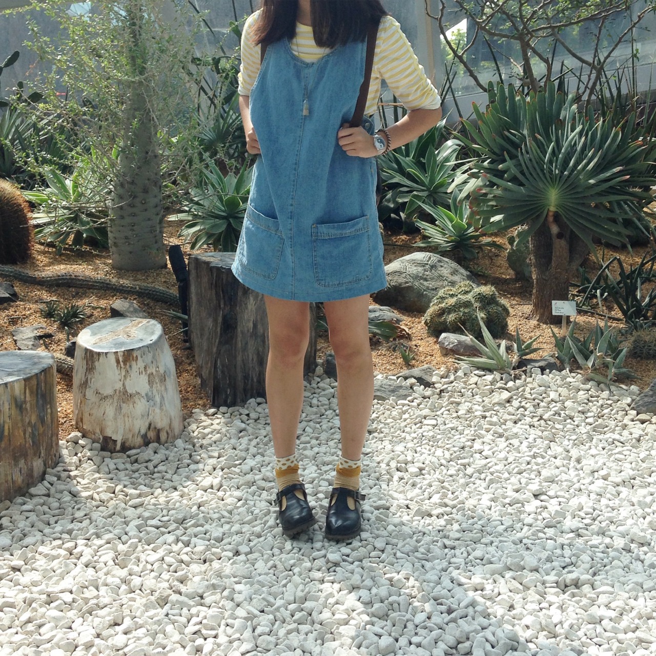 coqillage:  in my element 