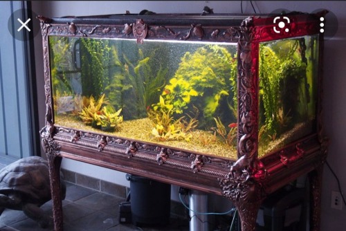 oarfjsh:so. how are we feeling about vintage fish tanks? 