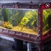 oarfjsh:so. how are we feeling about vintage fish tanks? 