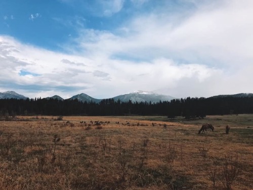 ghost hunting &amp; other fun activities | colorado