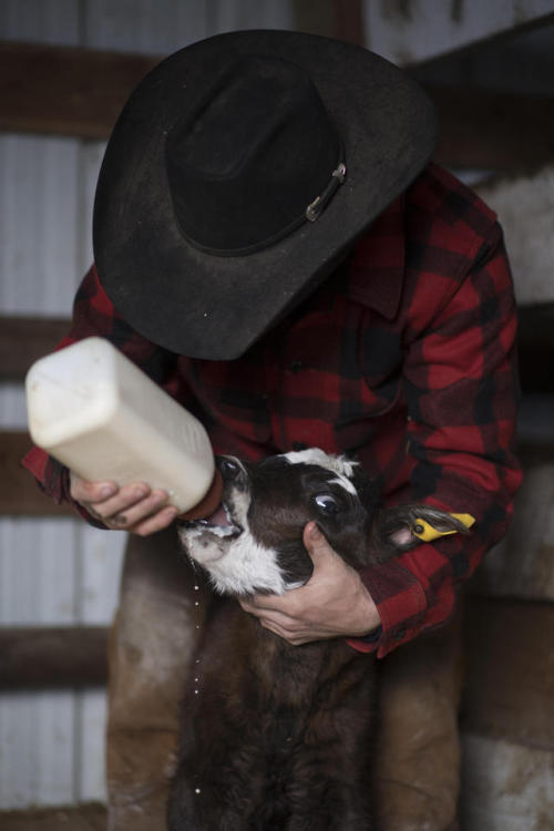 filson: Caring for the future of Walchuk Ranch. #FilsonLife Photography by Zach Doleac