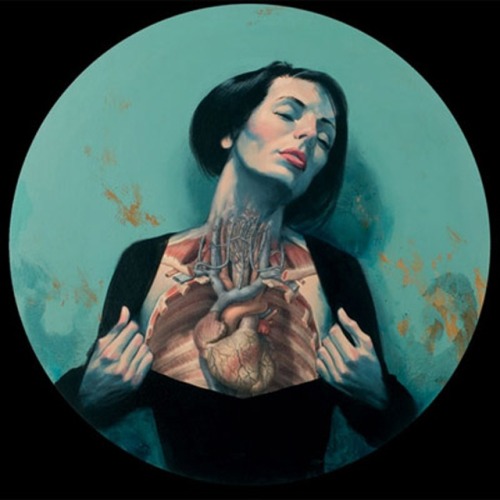 Fernando Vincente anatomical art.