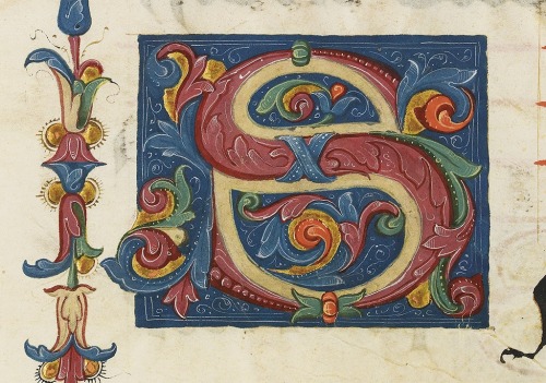 Manuscript initial, decorated S in colors and gold, 15th century. Portion of leaf from a Latin choir