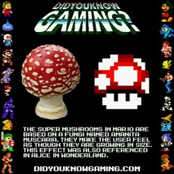 thegamersvoiceblog:  I did not know that actually 0__o  Confirmed. The whole Mario series is just about a lonely dude with a dead end job, getting high on natures psychedelics and hallucinogens. I always knew.