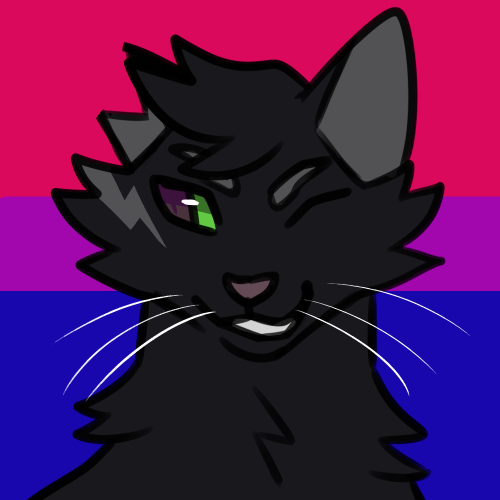 berrym00n: pride batch #5asexual twigbranch, lesbian dawnpelt, nonbinary olivenosearoace / lesbian f