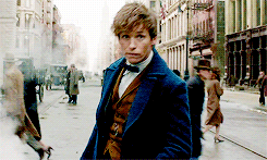 dylans-obriens:I wonder, what makes Albus Dumbledore so fond of you, Mr. Scamander?