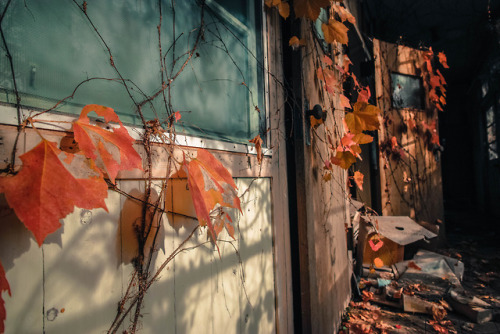 Abandoned “Konoji” hospital- Aコの字医院,日本