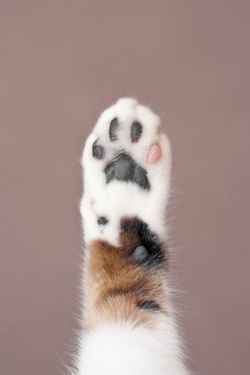 High five.