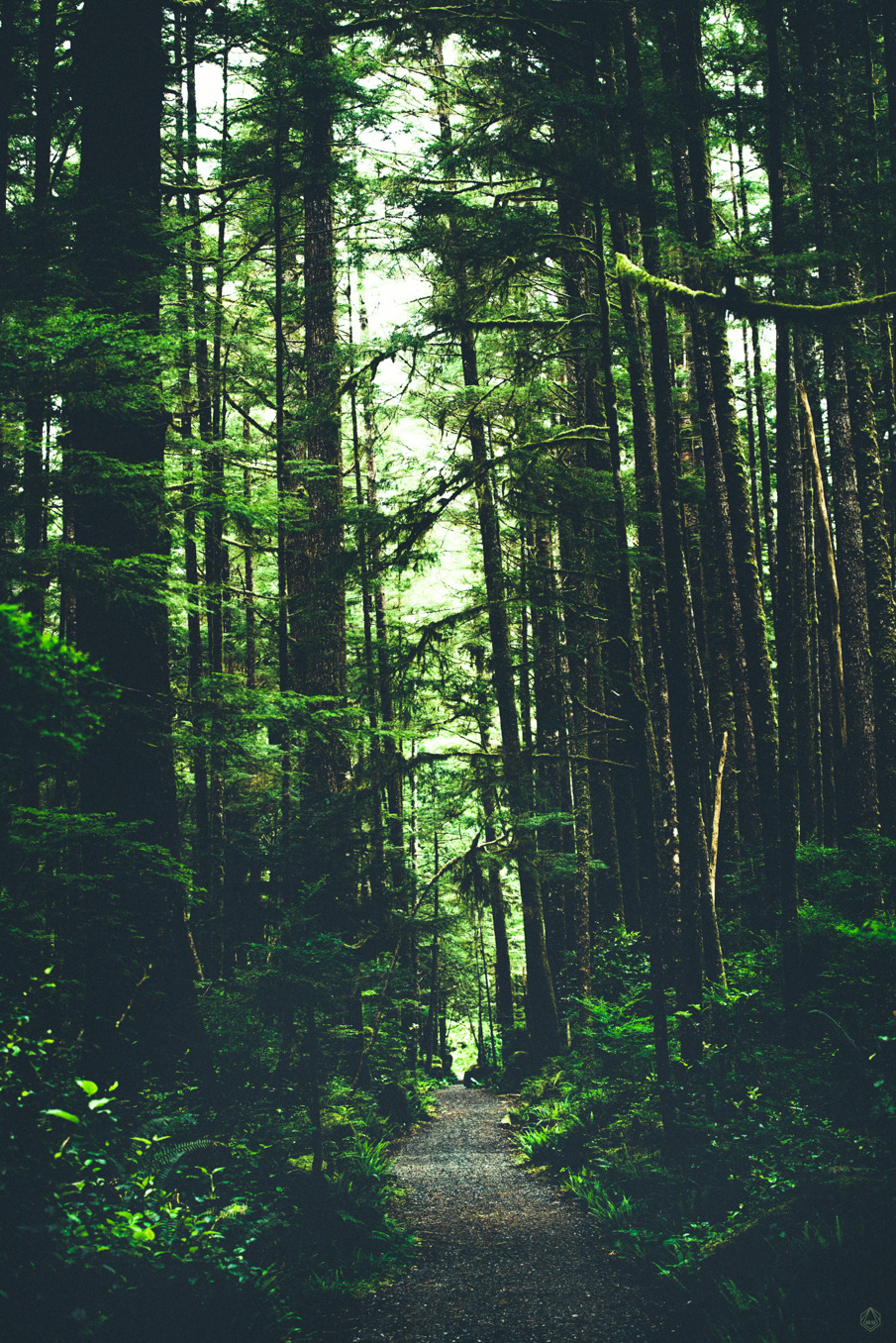 0rient-express:  Cape Scott Provincial Park | by Owen Perry | Facebook.   