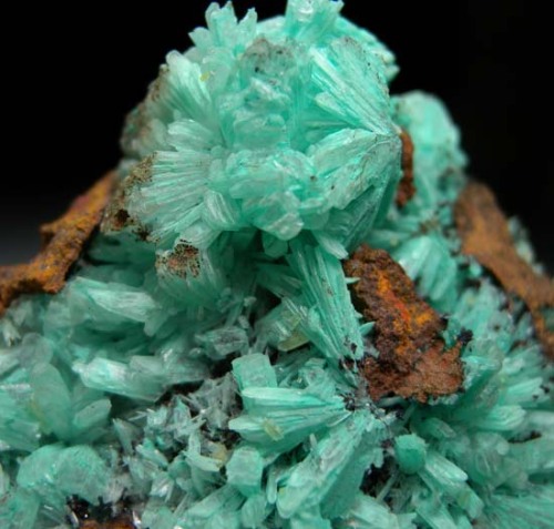 Cuprian Hemimorphite - Mina Ojuela, Mapimi, Durango, Mexico