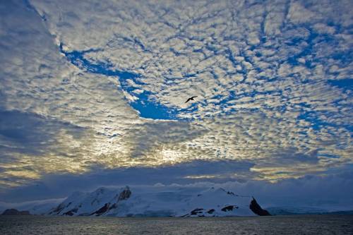 ANTARCTICA: Picture of Antarctica taken from the Brazilian icebreaker and oceanographic research ves