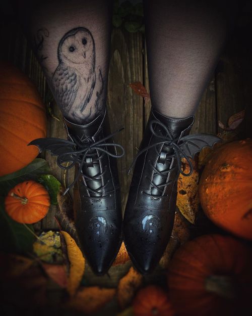 witchyautumns:   vanillahry