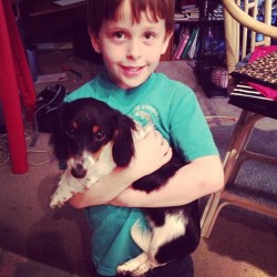 lagio:  Colin’s mom got two miniature #dachshunds!