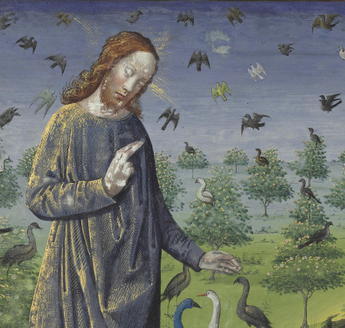 creation of the birdsHours of Louis de Laval, France ca. 1480BnF, Latin 920, fol. 4v