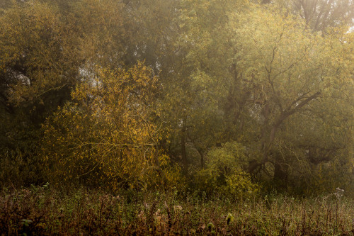 Plains and Grip by Lee Acaster