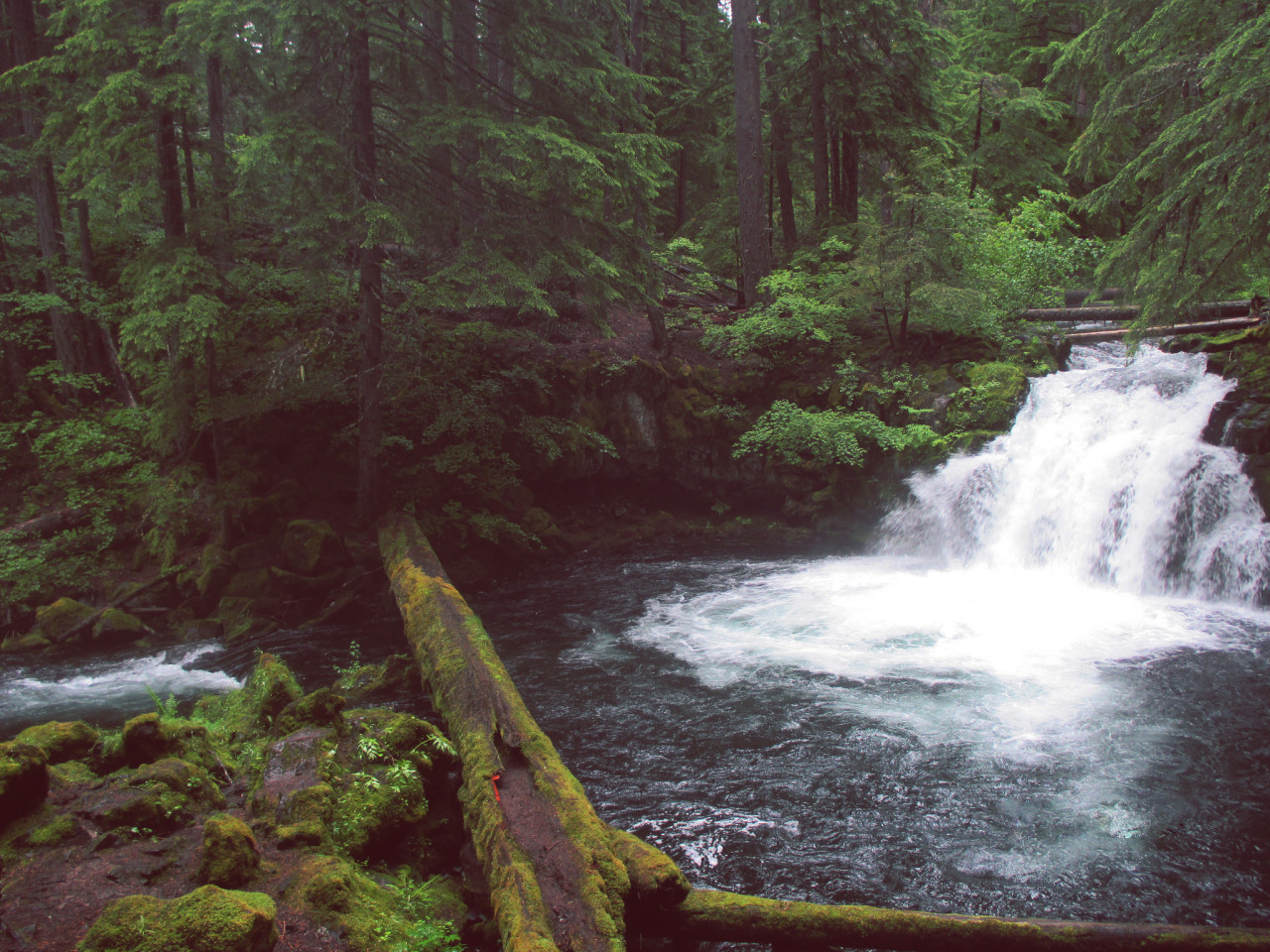 allnaturalgang:  nature gang over everythang