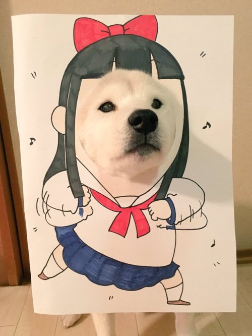 Not tumblr famous