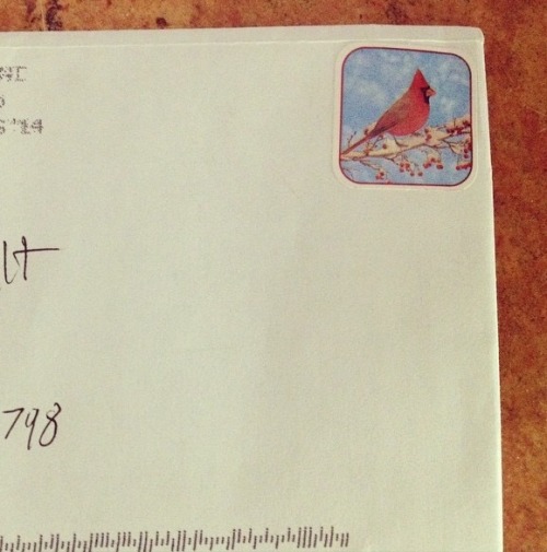 shamus-mctot:Congrats to my aunt who sent me a card using a bird sticker instead of a real stamp.