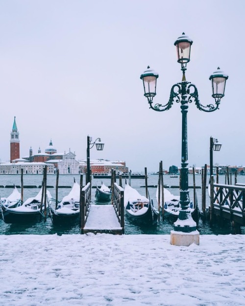 everything-thing: Snow in Venezia | Mary Quincy