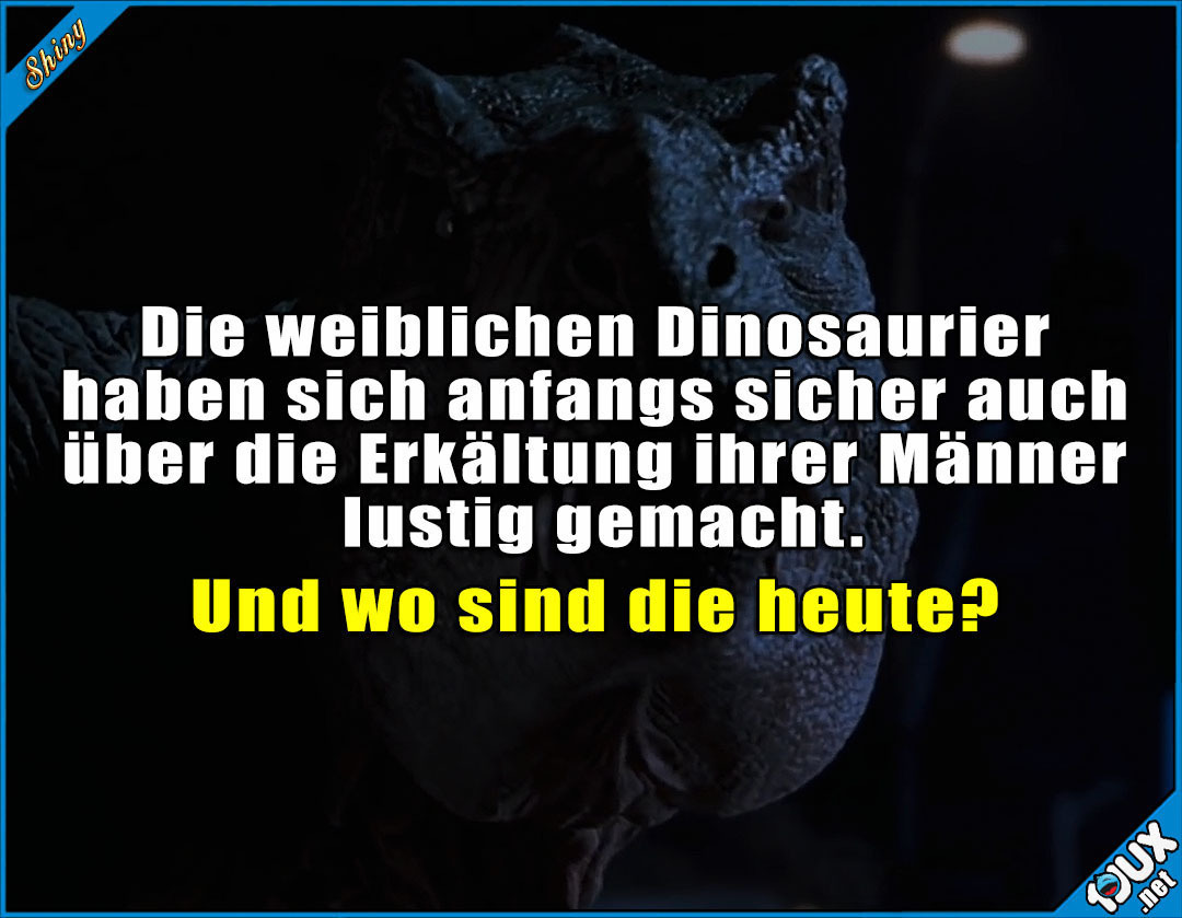 Lustige Spruche Vielleicht Fing Es Damals Auch So An