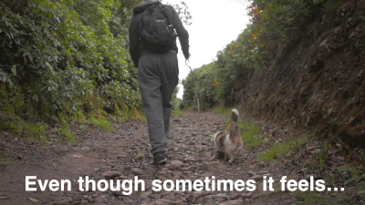 runsonpizza:brooke-being:hailstorrm:huffingtonpost:Blind Cat Who Loves Hiking Turned This Man Into A