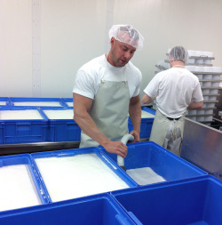 Chris and Matt filling the tubs for the Camembert make
