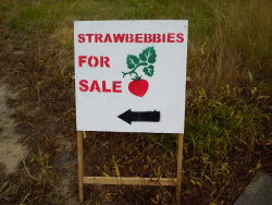 dreamyymind:  terrible-beauty:  slimydad:   My all time favorite sign I’ve seen near my house  i cant live like this  Strawbebbies   savanita ur my strawbby  ur the smoothest dreamyymind I&rsquo;m in luv with u