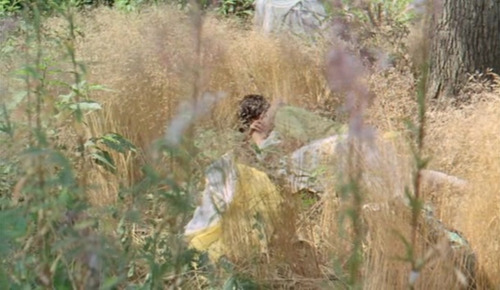 Le bonheur (1965)dir. Agnès Varda / dop. Claude Beausoleil & Jean Rabier