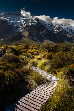 -fuckthisscene:  Hooker trail by CoolbieRe