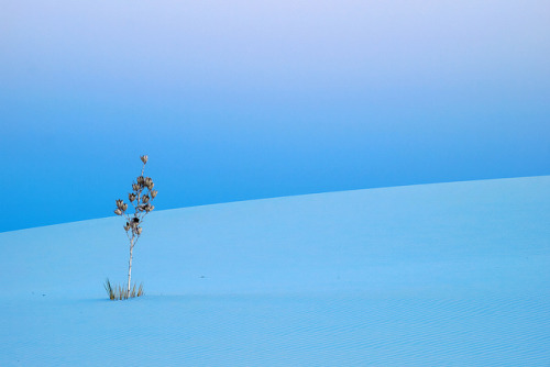 luxori:White Sands, New Mexico by landscape photography - sebastien-mamy.fr on Flickr.