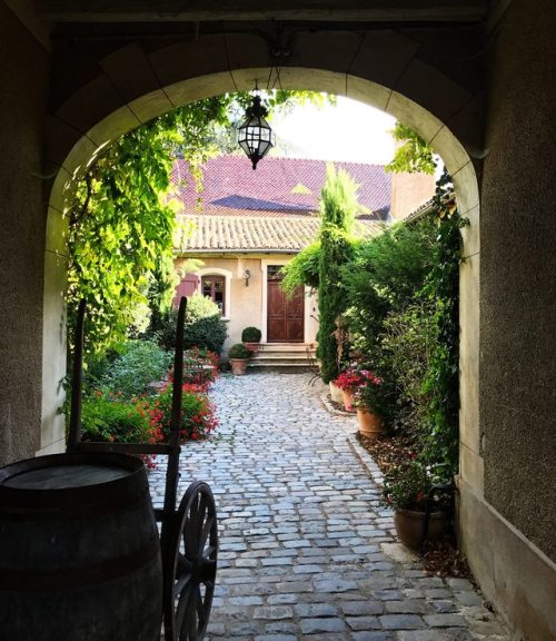 foodworldlove:Our Trip to the French Wine Region of Beaujolais Love & Lemons