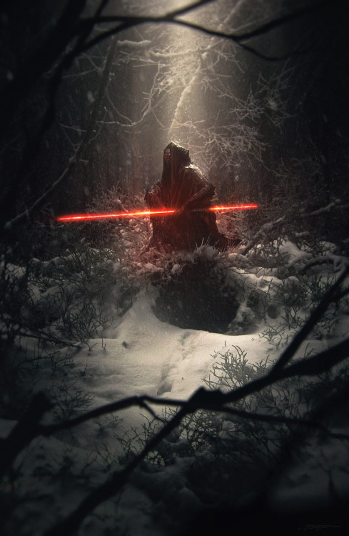 A Sith Lord awaits by Bastien Grivet 