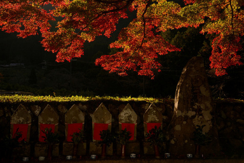 japanesse-life: 【平成24年度】瀧川寺の地蔵紅葉 @和歌山県古座川町田川 2012-11-25 by M.UEMURA…Thank you for 1,200,000+ 