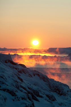 tulipnight:  Andre Schoenherr VG 10 by greenland_com on Flickr. Photos by Andre Schoenherr. 