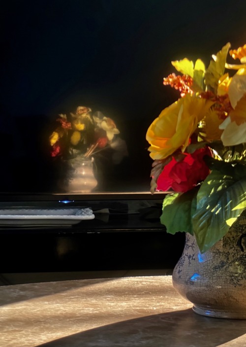 Mirror&rsquo;d A flower vase in bright sunlight is reflected in the black screen of a TCL TV. Stoneh