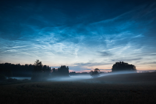 Luminous NightToday is the last day to get my presets on sale! http://www.mikkolagerstedt.com/preset