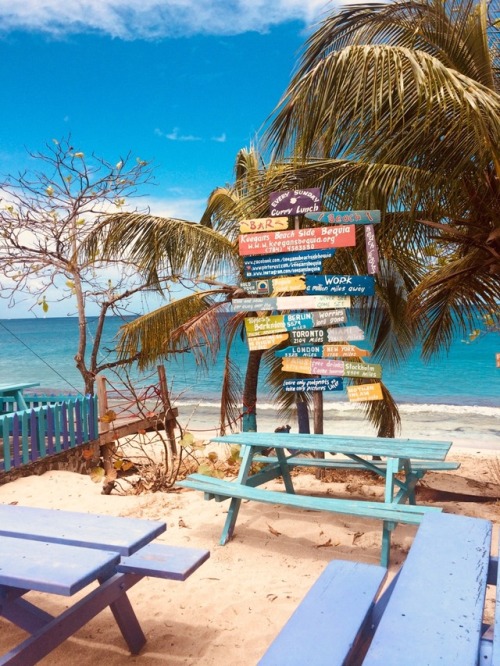 Caribbean beach life