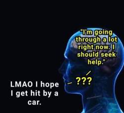 dankmemesreasonforliving: