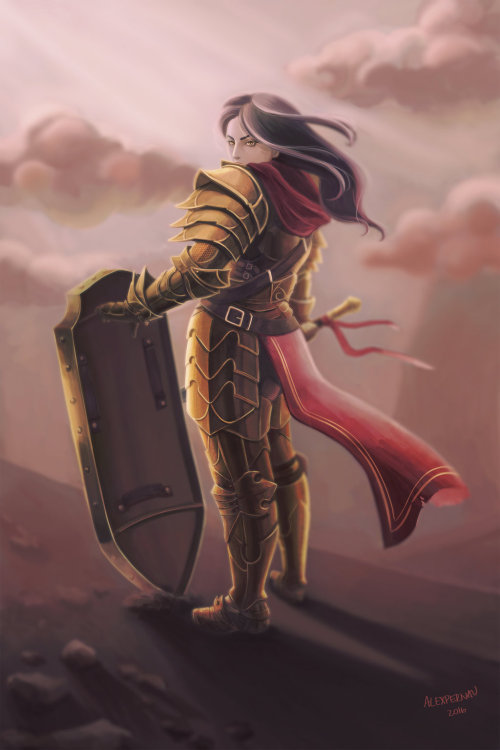 Paladin by pinkspidergirl